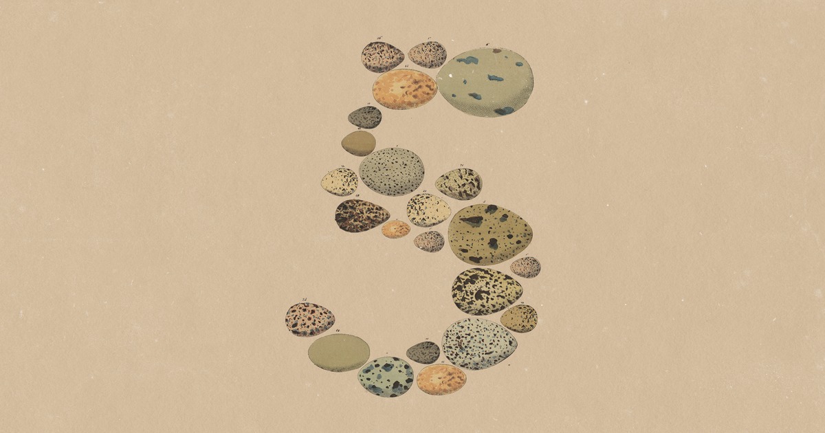Anthropic brand still — eggs numeral plate (text-free crop)
