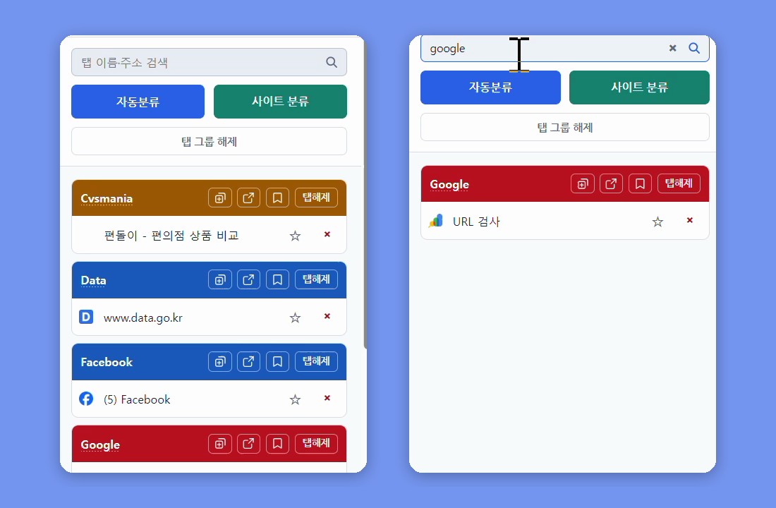 왼쪽 패널에는 Cvsmania·Data·Facebook·Google 같은 사이트 이름 그룹이 있고, 오른쪽 패널은 검색창에 google을 입력해 Google 그룹의 URL 검사 탭 하나만 남은 모습이에요.